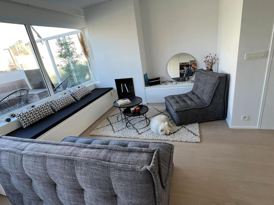 Beautiful Penthouse At 5Min Of Albert Place Knokke-Heist Luaran gambar